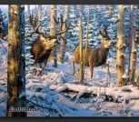 LEON PARSON WILDLIFE ART PRINTS