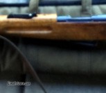 Schmidt-Rubin 1911 Carbine Rifle 96593_05