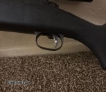 Savage model 12 in 22 250