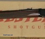 Winchester Model 94 Legacy, pistol grip 26