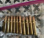 10 rounds of Remington 350 mag.
