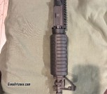 Colt 