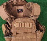Shellback Plate Carrier + RMA lvl 4 plates.