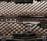 Ruger AR-556