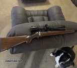 Ruger m77/22 22 hornet 