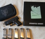 Springfield XD sub 2