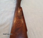 IMG_20260113_111544797_PORTRAIT