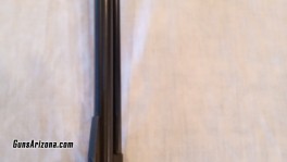 IMG_20260115_162027145
