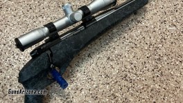 weatherby cfp 22250