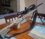 Howa Desert Shadow .308