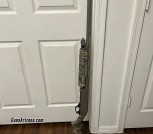 Winchester 12G