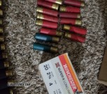 20 ga Shotgun shell Variety Deal