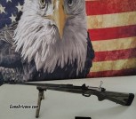 Rifle 2