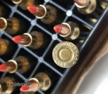 17 Hornet 20gr V Max Hornady Centerfire ammo