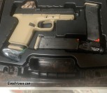 Ruger RXM