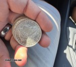 Silver Dollars