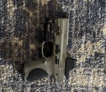S&W mp 2.0 bull shark edition holosun and tlr7x