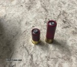 12g mini slugs and buckshot