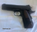 Dan Wesson guardian Bob tail