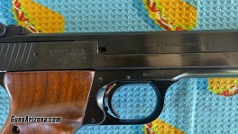 Smith & Wesson 41  (5)