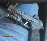 Sig p365 fuse 