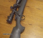 Remington 700 Tactical 308