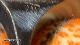 IMG_3682A7C2-4AD2-4FB2-8646-9E60FA952362