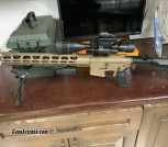 IMG_2869 Delta Zero AR-15 .223/5.56