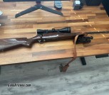 Browning A bolt hunter .30-06