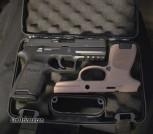 P250 45 acp