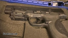 gun1