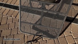 IMG_3310