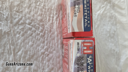 30-06 ammo