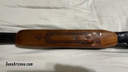 IMG_3868