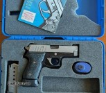 Sig Sauer P245 Law Enforcement Edition DAO