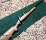Ruger m77