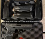P365 xmacro comp