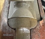 IMG_3121