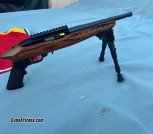  Ruger 22 Charger 22 LR Cal