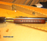  TAURUS 22 LR 13 SHOT PUMP RIFLE~23 INCH NICKLE BEAUTY!!!