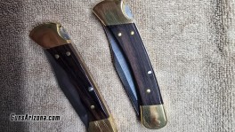 BUCK 110   2