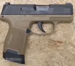 Sig p365 9mm