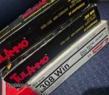.308 ammo