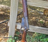 1895 Saddle Ring Carbine