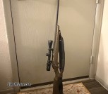 Ruger 270