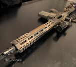 Custom built AR 10