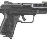 *WTB* Ruger security .380