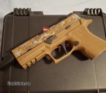 Limited edition p320 xcarry