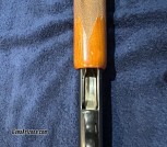 IMG_0257