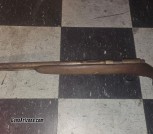Remington 10/22